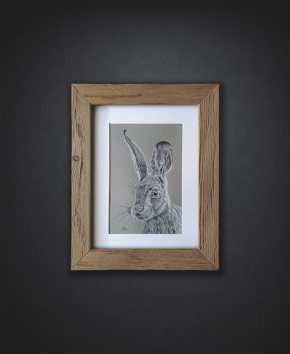 Hase Zeichnung
